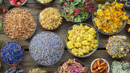 musubi METHOD ― 出雲の叡智と先端技術を結ぶ、美しさを育むエステメソッド