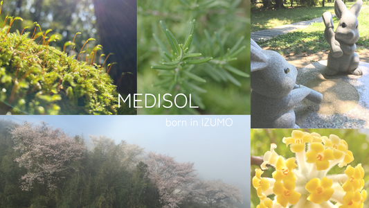 About us