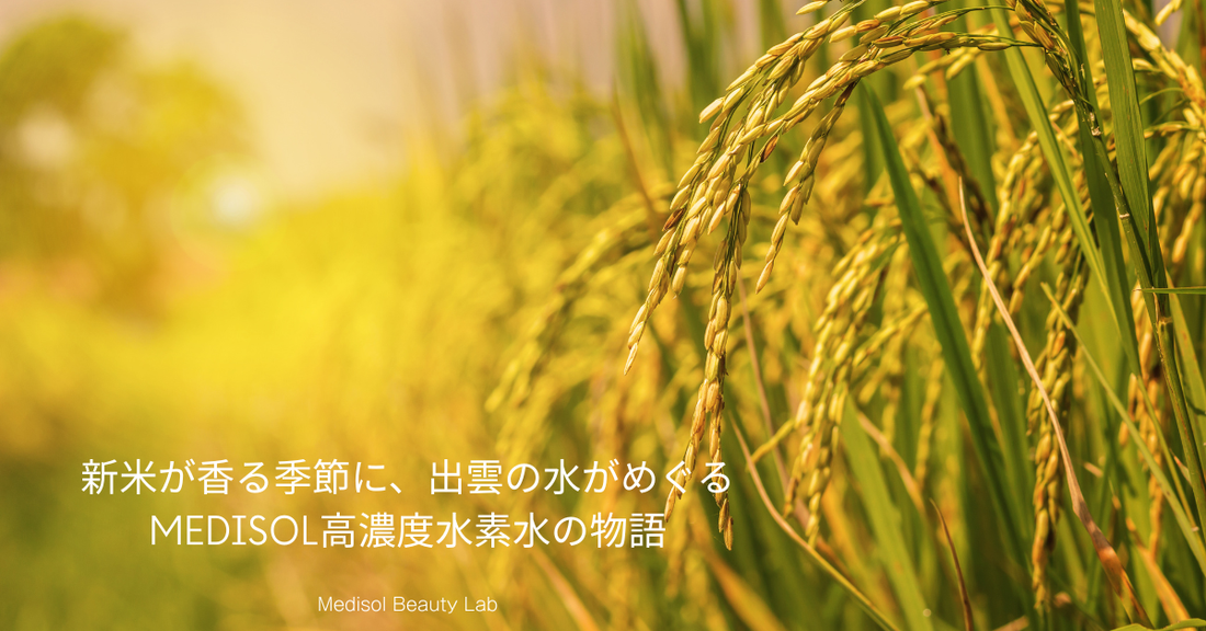 霜降 ― 新米が香る季節に、出雲の水がめぐる。Medisol 高濃度水素水の物語