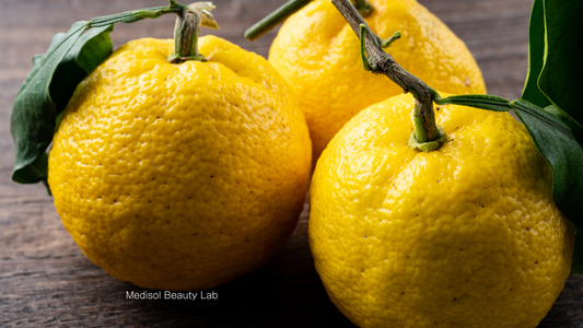 冬至 ― 巡りが生まれ変わる夜に。  柚子湯に浸かり、水素水を身体に巡らす。MEDISOL 高濃度水素水の物語。