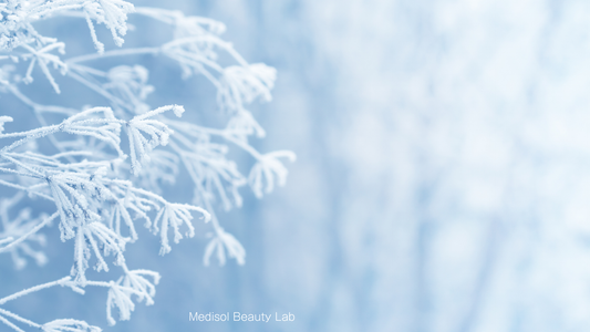 大雪 ― 冬の深まりに、ホースプラセンタの一滴で目覚める素肌。国産ヒト幹細胞培養上清FDエッセンス×ホースプラセンタの美容液。