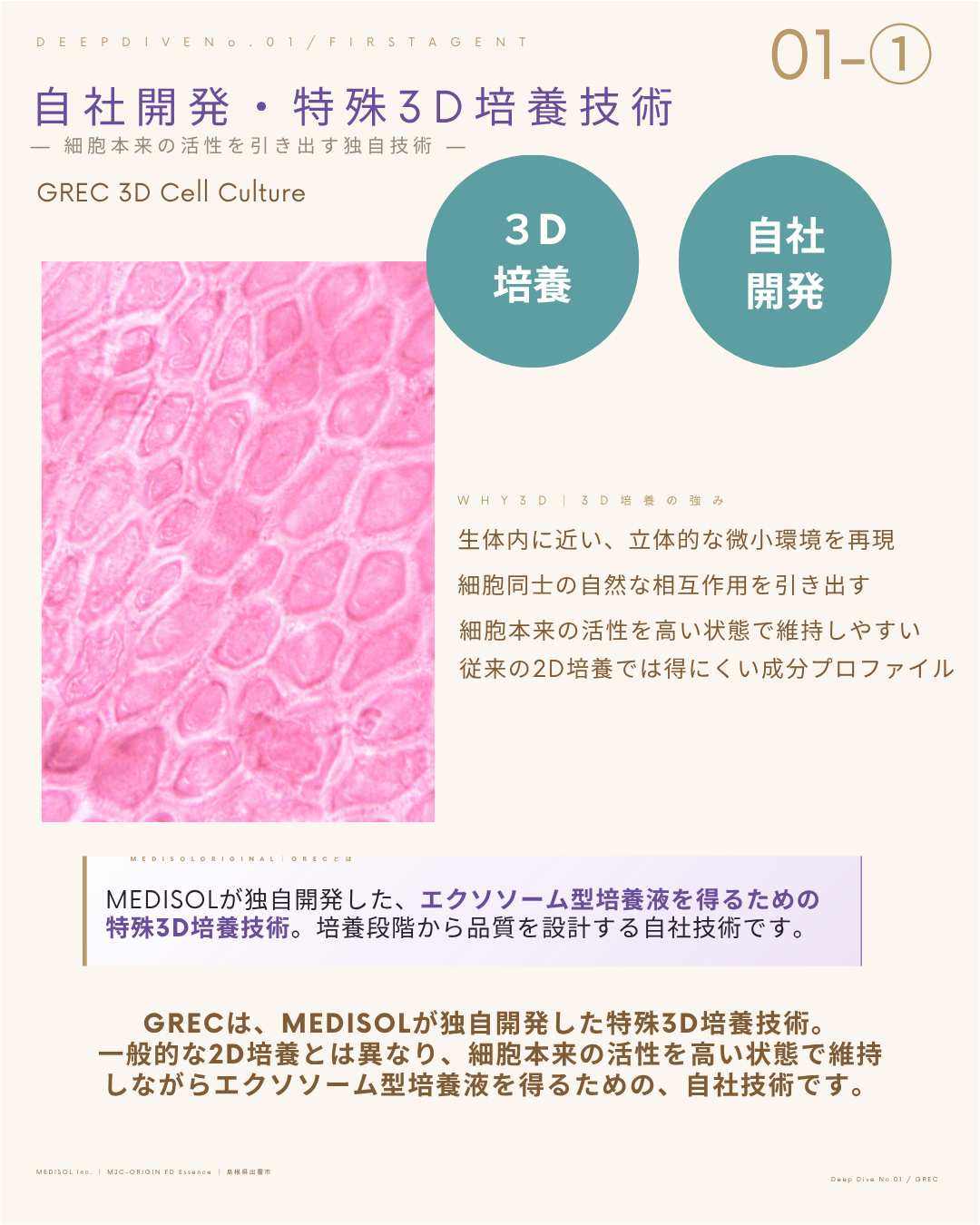 出雲MEDISOL MJC-ORIGIN FD essence〈ヒト幹細胞培養上清FDエッセンス×高濃度熟成ホースプラセンタ〉１セット５回分